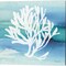Sea Life Coral by Lisa Audit 14" x 14" Canvas Wall Art (Set of 2)